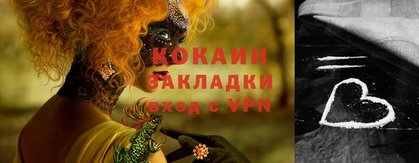метадон Богданович
