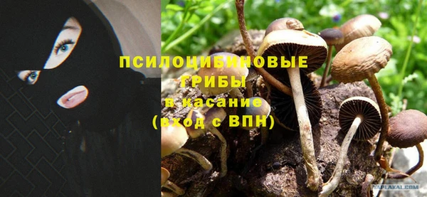 ALPHA PVP Богородицк