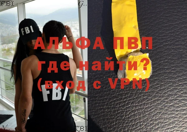 метадон Богданович