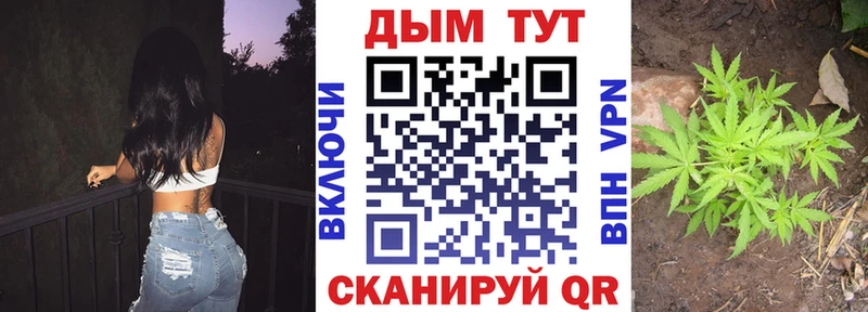 Шишки марихуана ГИДРОПОН kraken tor Коммунар